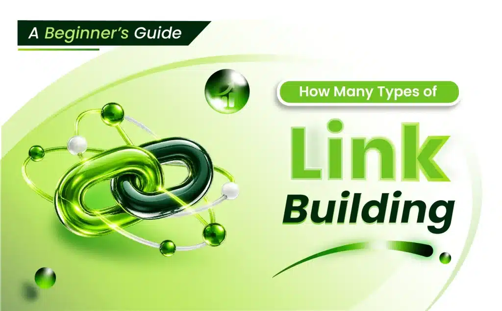 Link building strategies and backlink types for SEO
